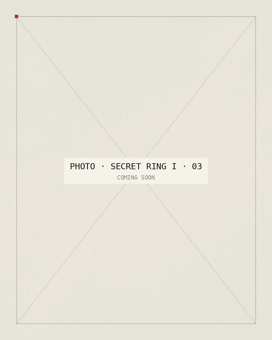 Secret Ring I, photo 3